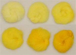 EVRON YELLOW 4GL 160% (Brilliant gul)